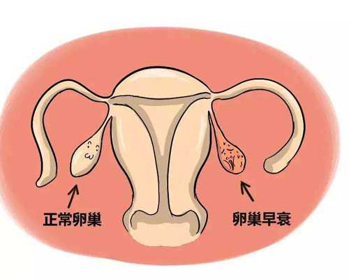 8岁孩子成绩差怎么办（孩子成绩不好怎么办） 代孕网试管流程