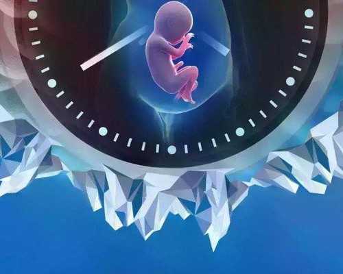 助孕公司-试管婴儿对女性有伤害吗试管婴儿的成功率是多少