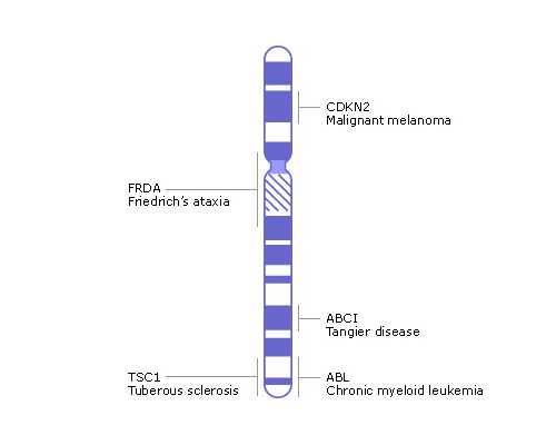 2026年佛山市试管第三代费用明细表出炉，如何降低价格呢？