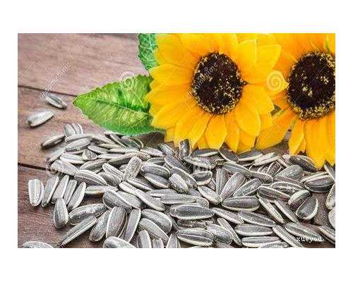 查输卵管是否堵塞疼不？有什么检查方式？ 试管代孕多钱