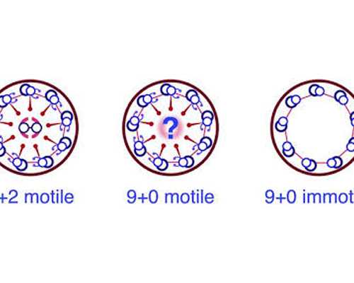 2026年做试管需要多少钱🥰一促一移全记录 试管供卵代怀生子机构