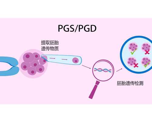 别纠结子宫内膜1mm试管成功率高不高，先看能否移植 供卵代怀试管的医院